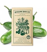 コレクション SAYURAN Minichamps X Tarmac Works 1/64 Porsche 718 Spyder RS Viola Metallic -