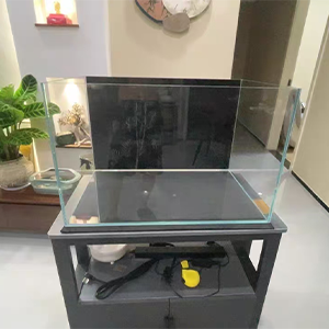 Black Background Sticker for Fish Tank