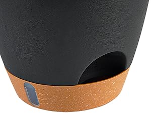 plant pots indoor
