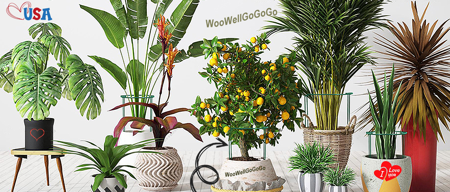 Plant Support