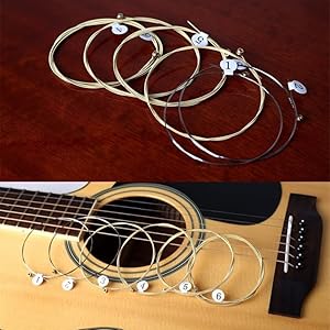 【新品弦交換】Enjoy Found GUITAR アコースティックギター Amazon.co.jp: アコースティックギター 弦 アコギ 弦 クラシック