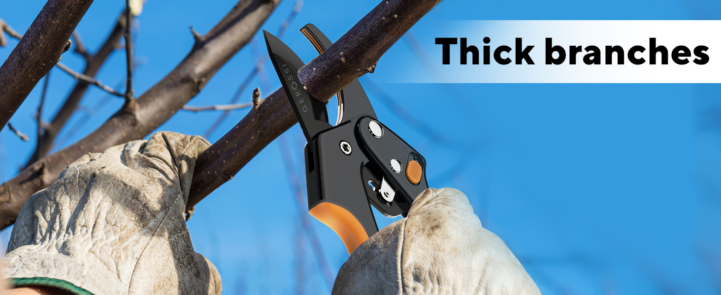 Thick branches