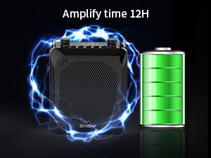 Wireless Voice Amplifier