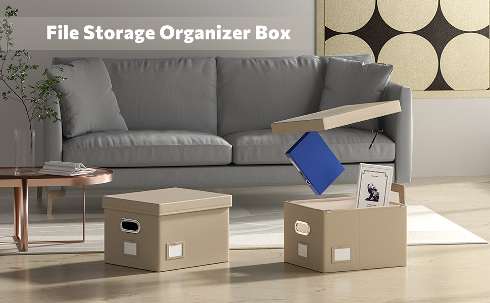 DYWMM File Storage Organizer Box, Hanging Folder Organizer