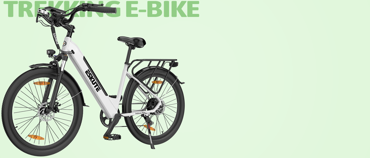 TREKKING EBIKE