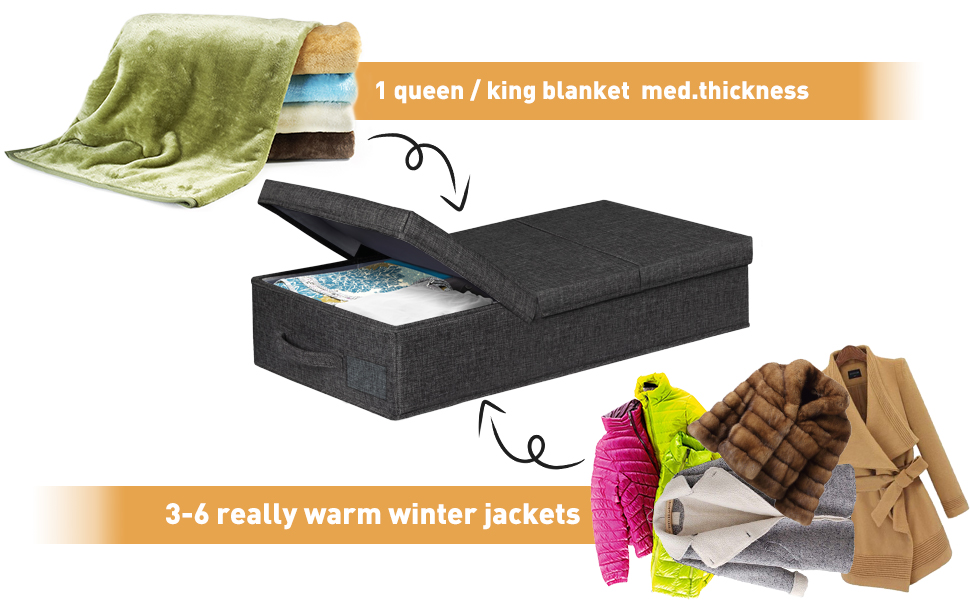 Underbed Storage Containers With Lids, Set of 2 Low Profile