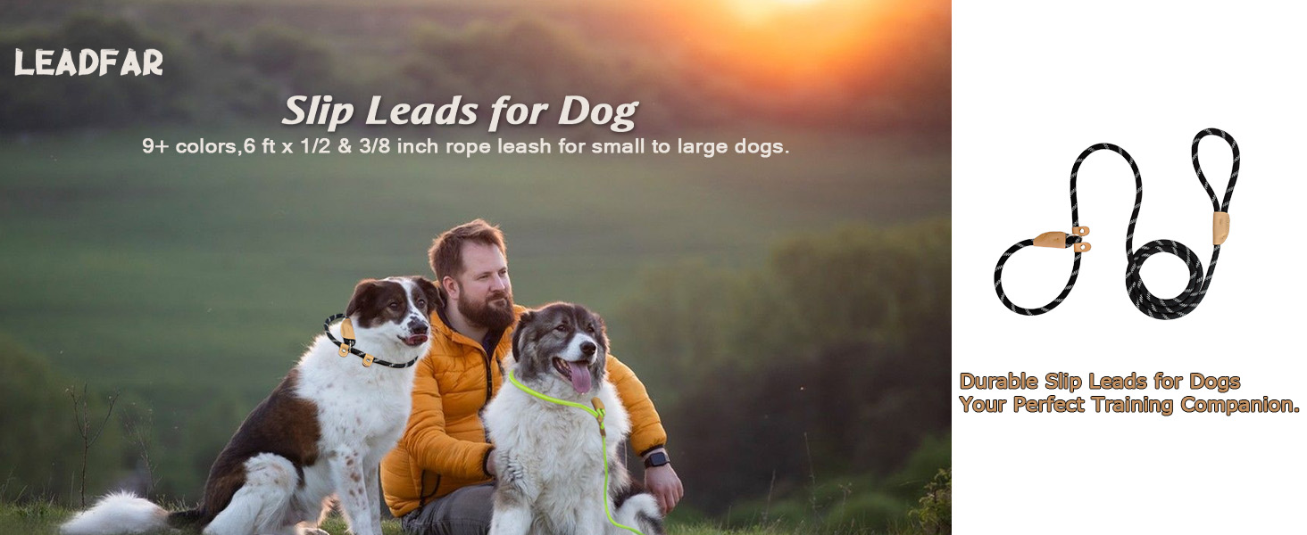 slip leads for dog