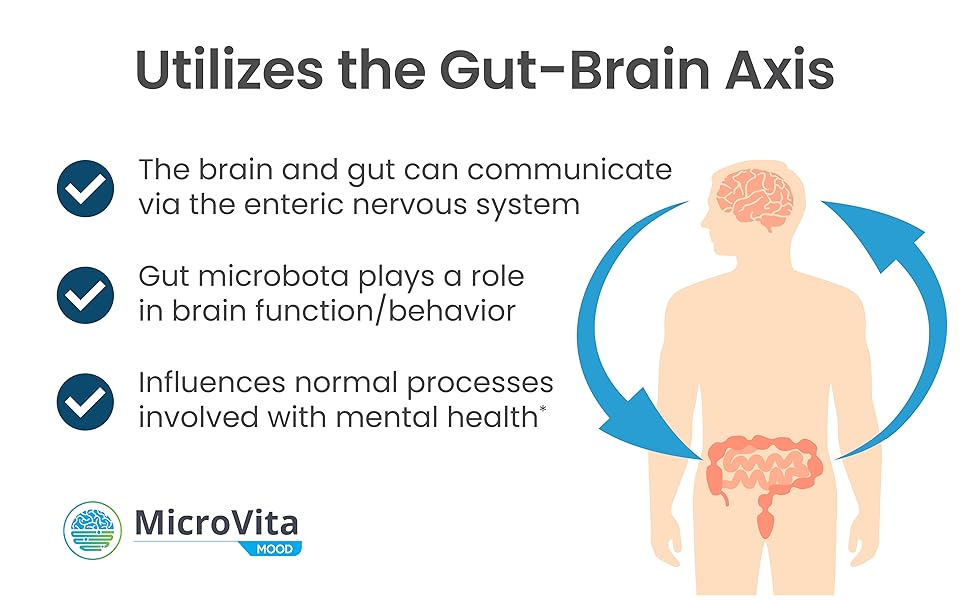 Utilize the Gut-Brain Axis to Support Mental Health