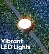 Vibrant LED Lights