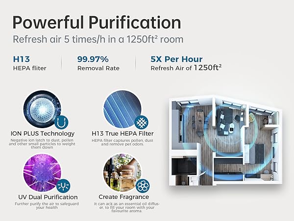 air purifier