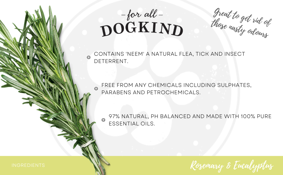 For All DogKind Deep Cleansing Dog Shampoo - Rosemary and Eucalyptus for Dirty Skin and Coats - Ideal for Muddy Adventures, Smelly Fox Poo, & Sensitive Skin - 97% Natural - 32-1 Dilutable - 250ml 16 cleansing