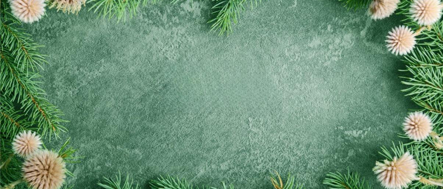 Day bed and trundle bed, Daybed and pop up trundle, Daybed and trundle twin, Daybed and trundle 