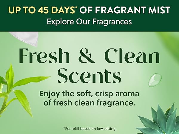 febreze plugins refill, home,pumpkin,air fresheners for home