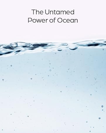 seapuri sea puri 씨퓨리 시퓨리