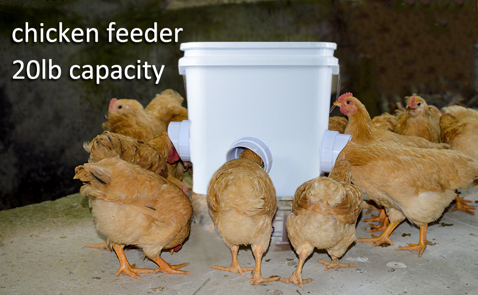 Automatic Chicken Feeder Set Hanging Chicken Feeder No