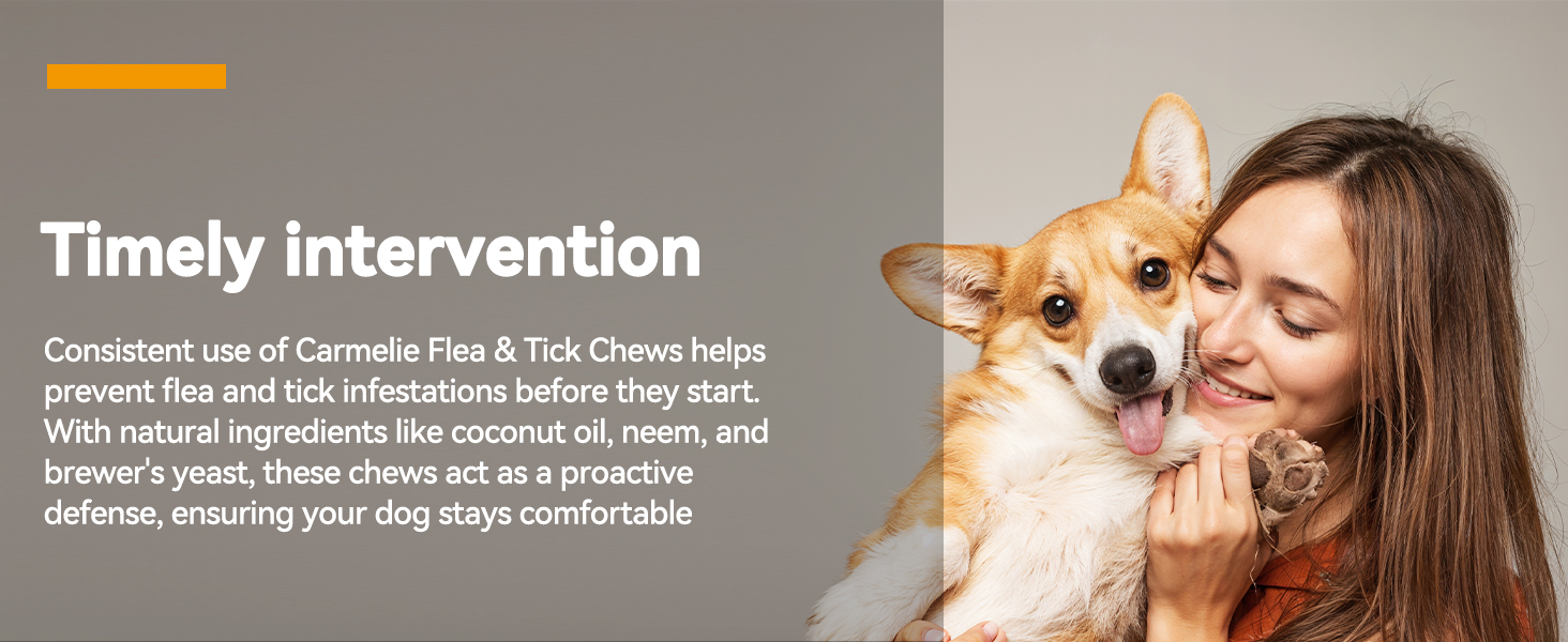 tick medicine for dogs