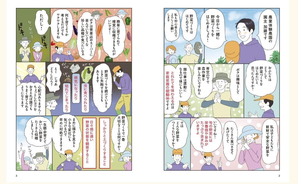 マンガ&イラストでコツがわかる! はじめての野菜づくり | 加藤