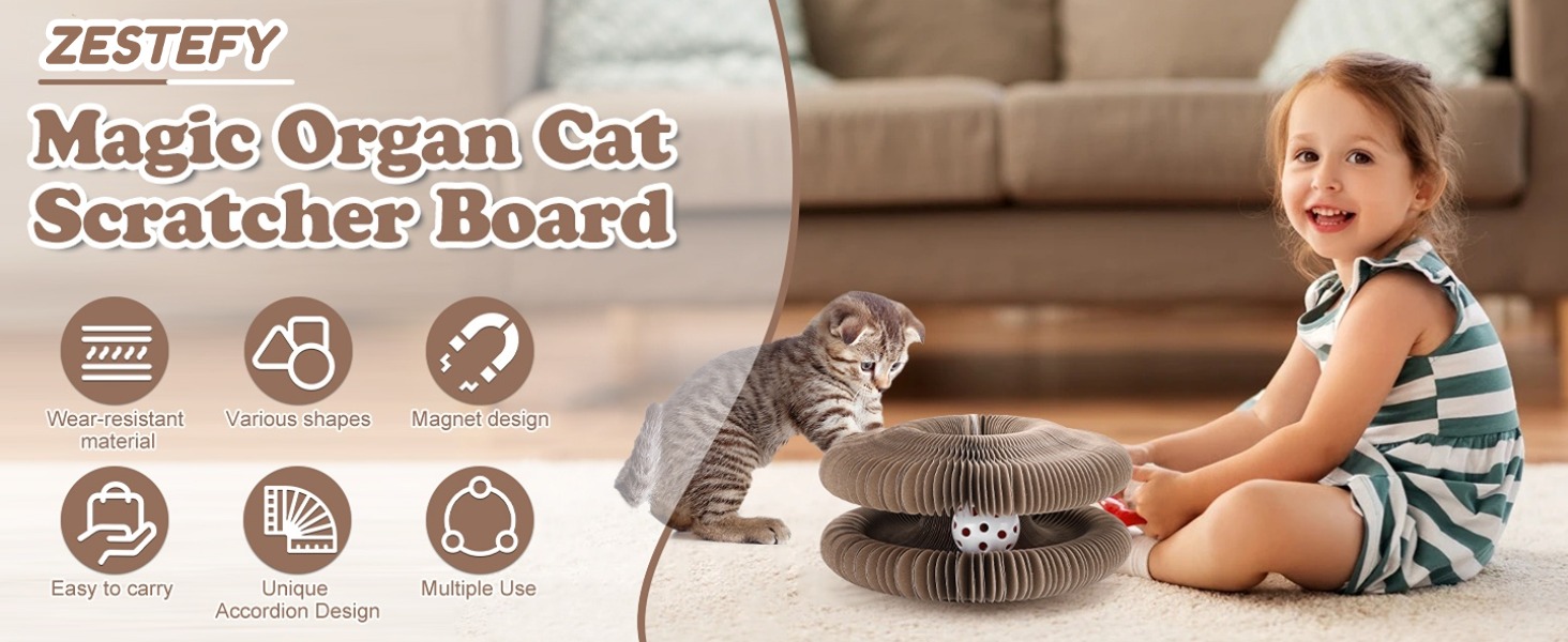 cat scratch toy