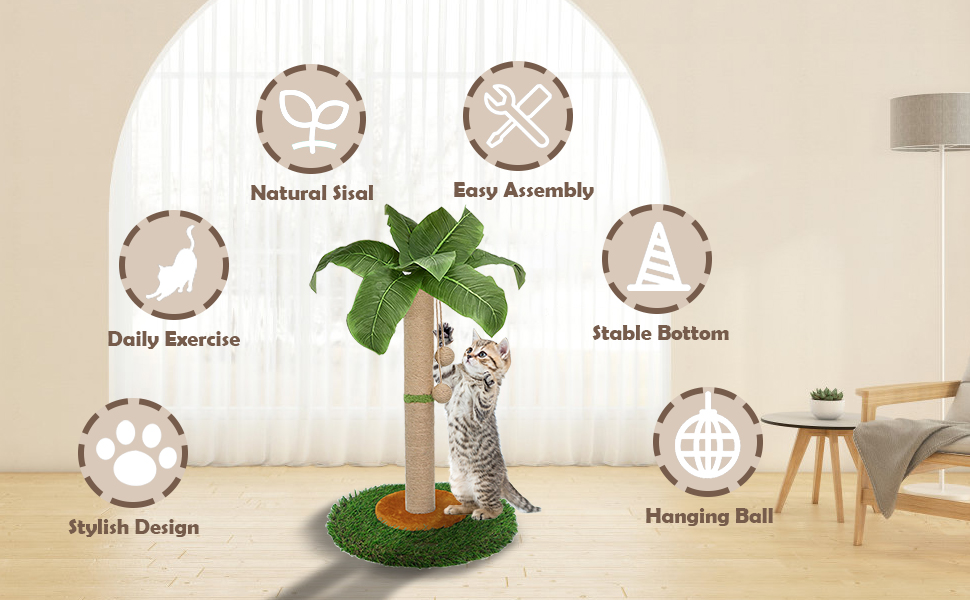 cat climbing a palm tree with the instructions