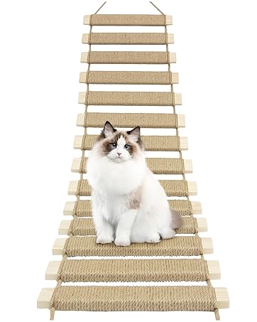 The Cat's Miaow Climb My Stairs レコード The Cat's Miaow Climb My Stairs レコード The Cat's Miaow