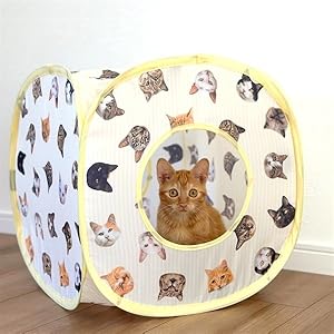 昭和レトロ希少❣【リーベ＆エルフ】白猫たち３匹 Amazon | ねこのきもち 猫テント 猫ハウス 岩合光昭「ねこ22