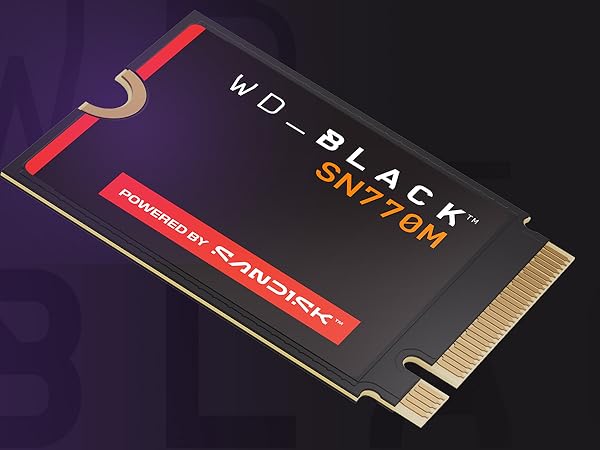 Amazon.com: WD_BLACK SN770M 2TB M.2 2230 NVMeSSD - PCIe Gen 4.0
