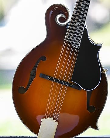 Geordie Mandoliniさん専用 Kentucky KM-858 Artist F-model Mandolin – Gold Top - Saga Music