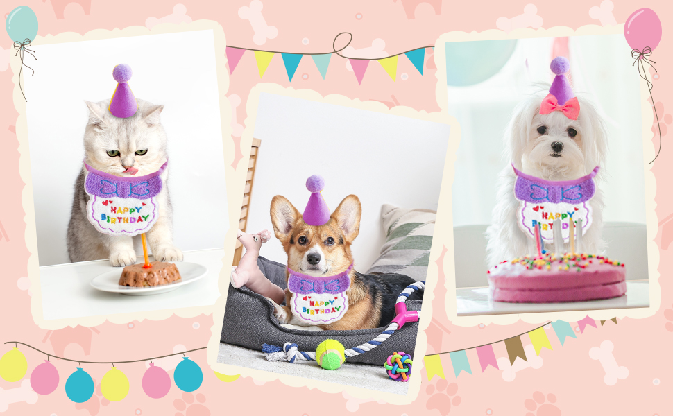 Hund-Geburtstags-Bandana