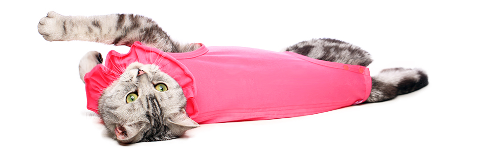 cat recovery suit