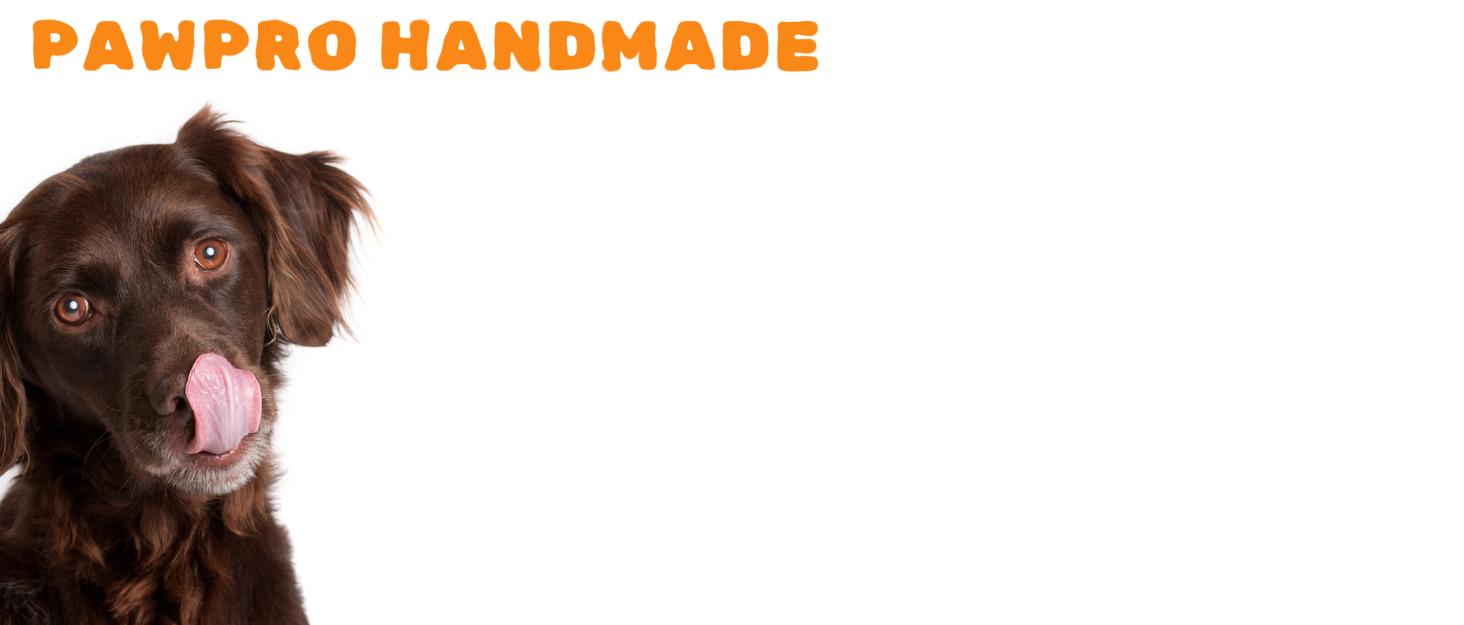 dog collar id tags charm locket name identification ids charm puppy name accessories identify lost