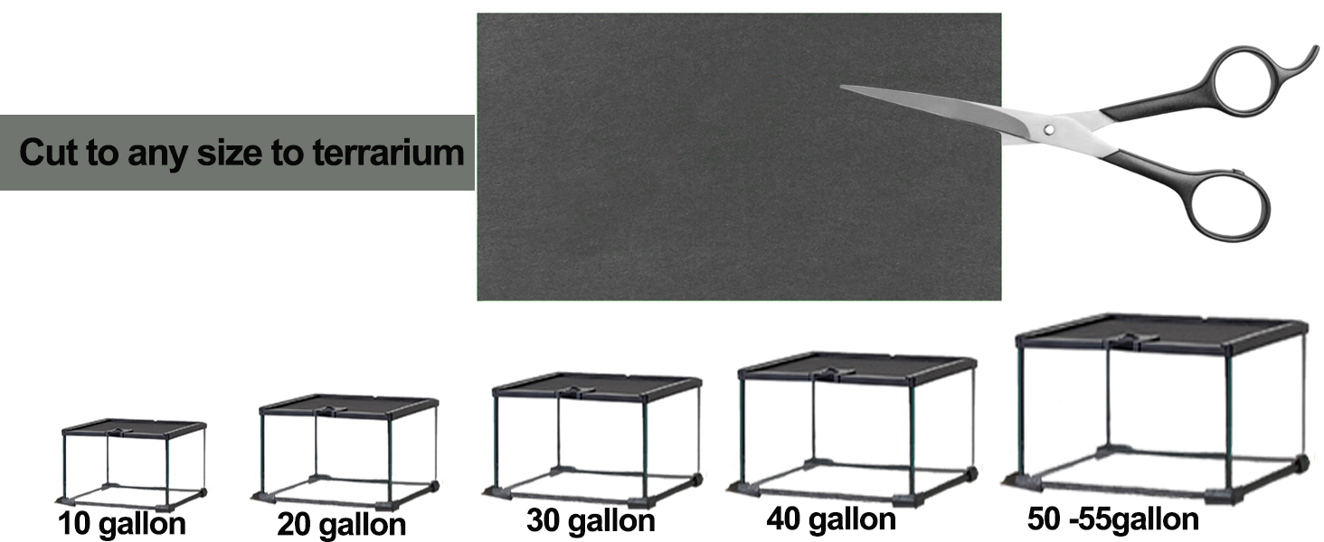 Bearded Dragon liner