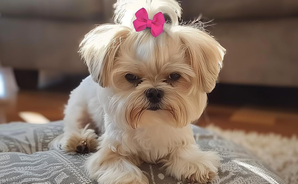 dog hair bows