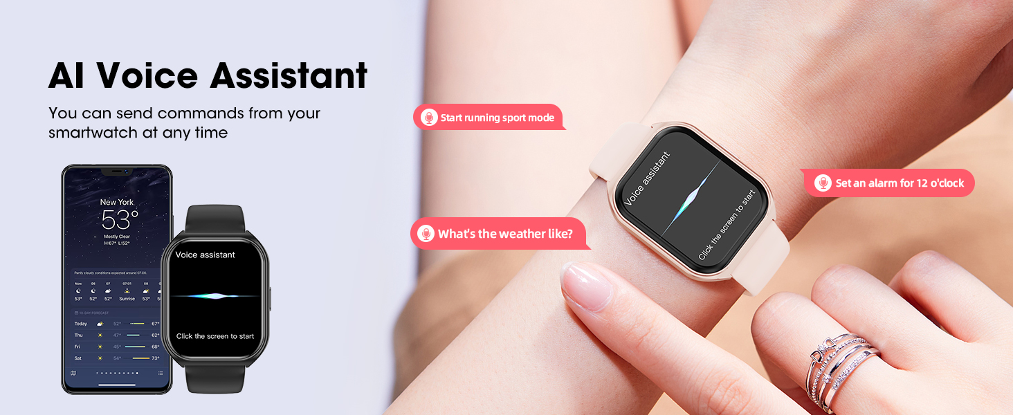 Voice assistant