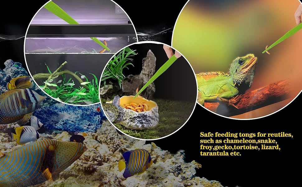 Aquarium & Terrarium Dual-Use Tongs