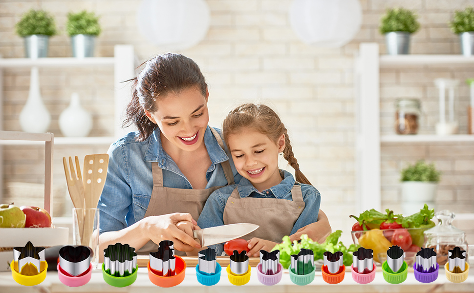 Fruit Cutters Shapes Vegetable Cutter 26 Pcs, Nifogo Mini