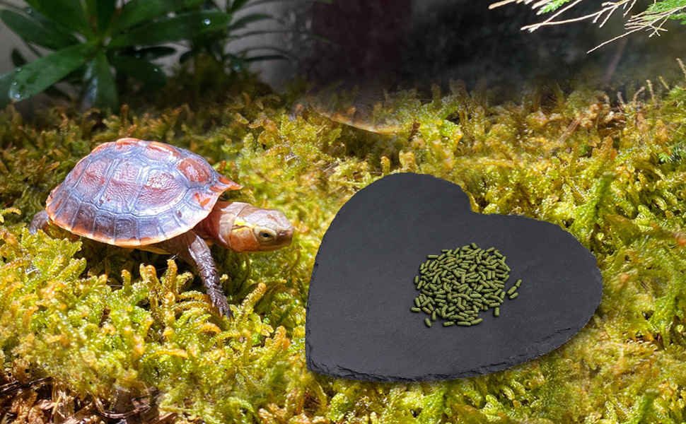 Reptile Basking Platform, Tortoise Rock Plate
