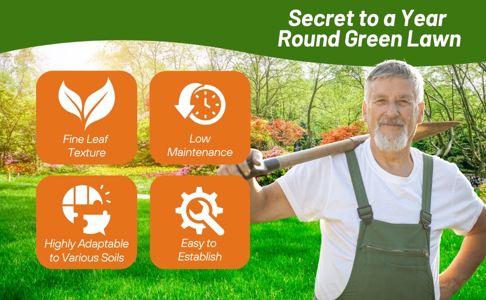 Outsidepride Legacy Fine Fescue Grass Seed Mix 25 lbs