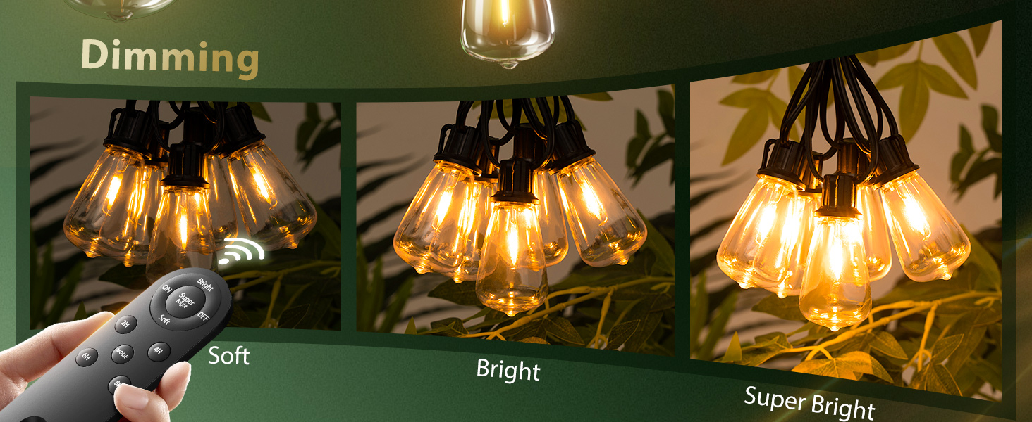 Solar String Lights