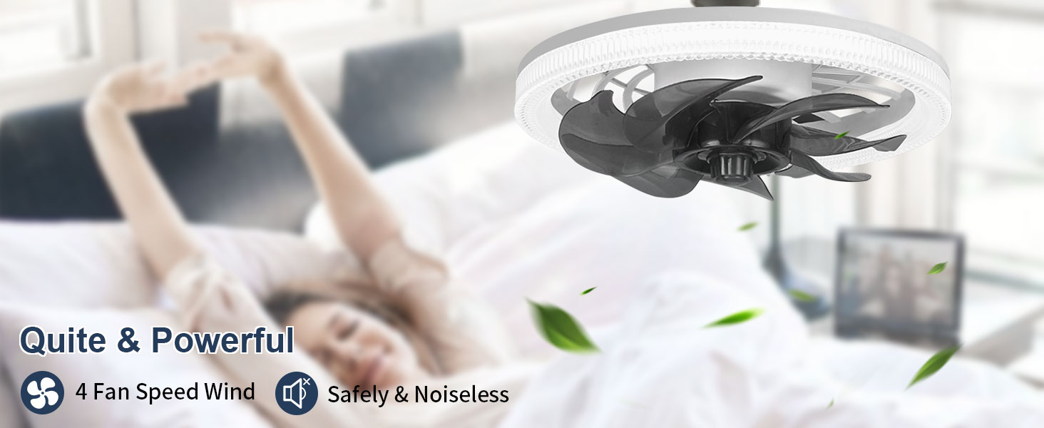 Ceiling Fan with LED Light