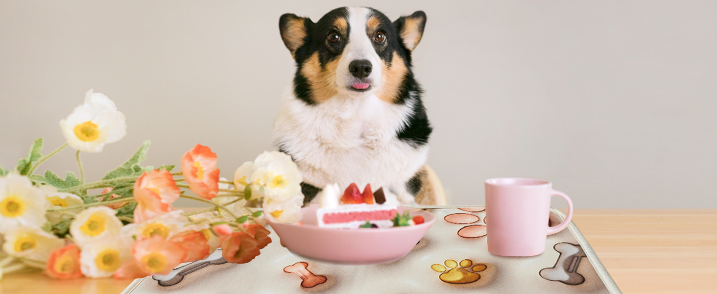 Dog feeding pads