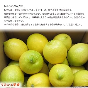【国産】愛媛県岩城島産　ジャンボサイズレモン 10kg 7月出荷】青いレモンの島 貯蔵蔵出しジャンボレモン2kg(冷蔵