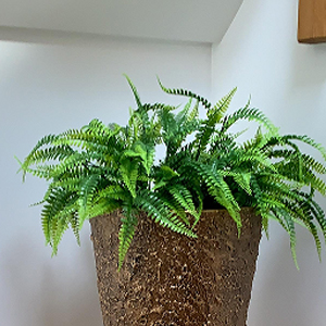 Small manufacture image 5