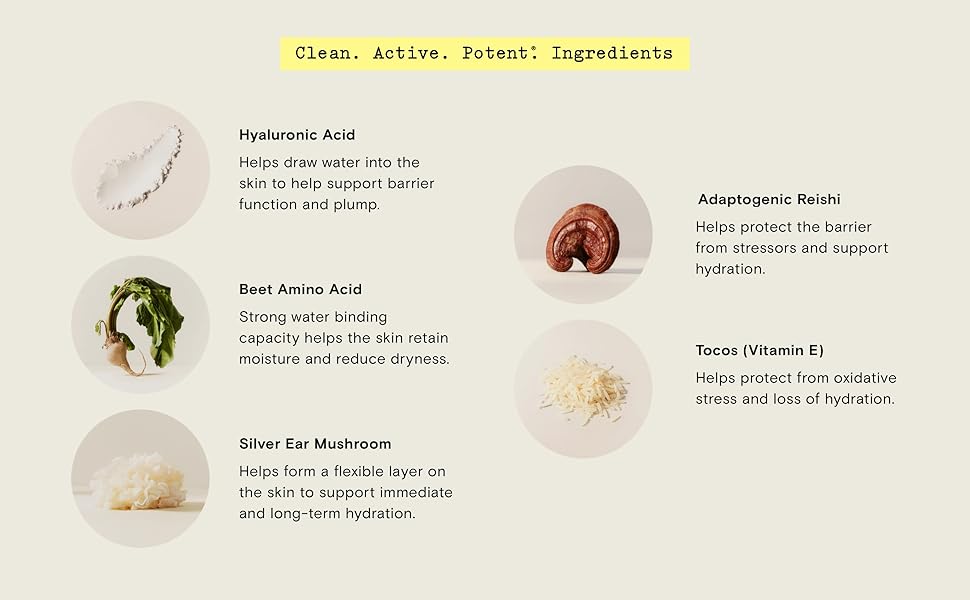 clean skin care ingredients