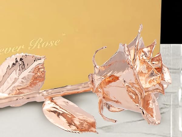 Amazon.com: Forever Rose Real Rose Dipped in Rose Gold