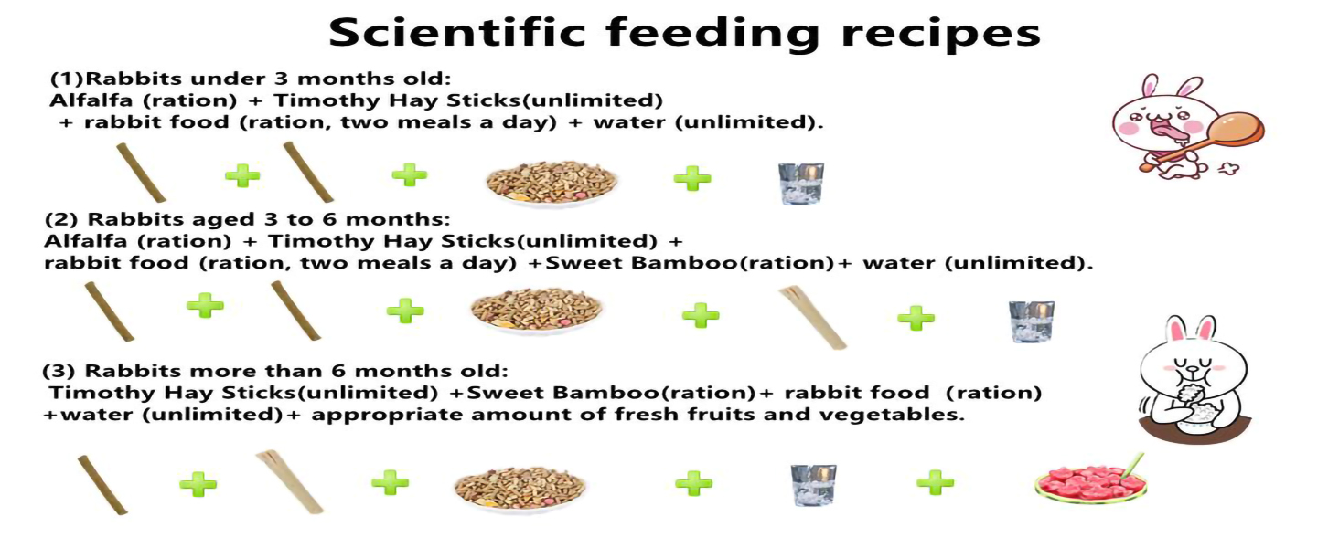 Timothy Hay Stick for Guinea Pig Toy Bunny Chew Toys for Teeth Grinding Hamster Alfalfa Bite Treat