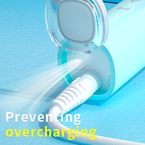 Rechargeable Electric Toothbrush