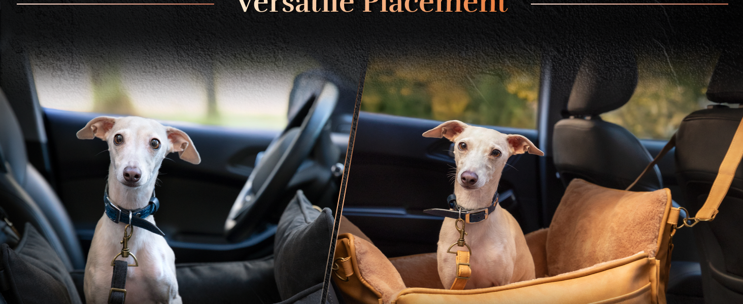 dog car seat