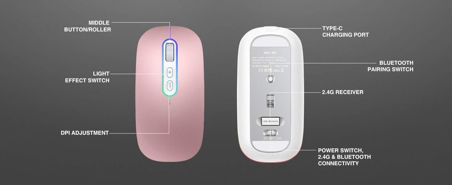 99cc8994 cf17 44b6 a8fe 65f4e990917b. CR0,0,1464,600 PT0 SX1464 V1