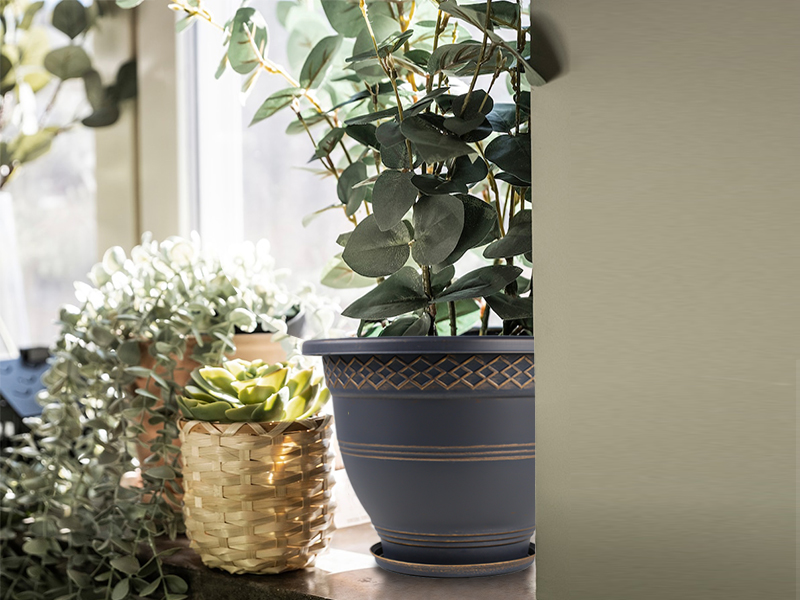 Plastic Flower Pot 