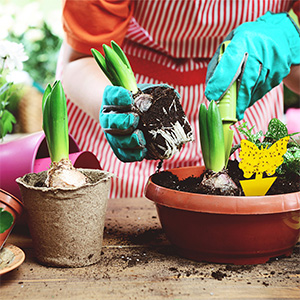 Einfache Physische Falle